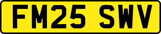 FM25SWV