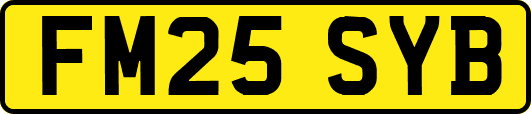 FM25SYB