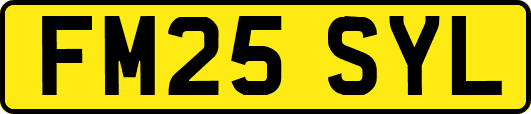 FM25SYL