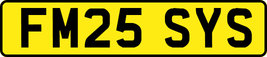 FM25SYS