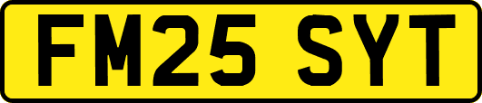 FM25SYT