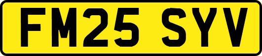 FM25SYV