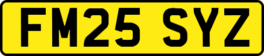 FM25SYZ