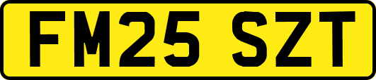 FM25SZT