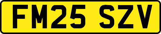 FM25SZV