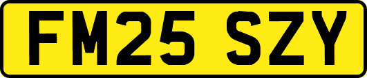 FM25SZY