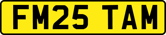 FM25TAM
