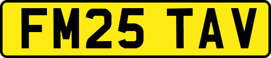 FM25TAV