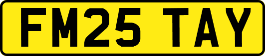 FM25TAY