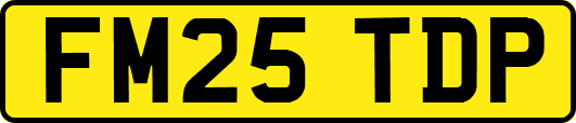FM25TDP