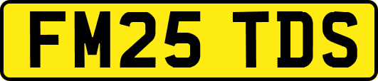 FM25TDS
