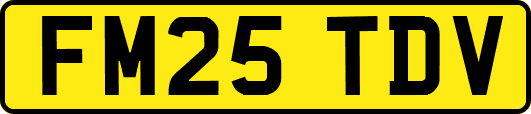 FM25TDV