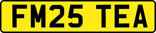 FM25TEA