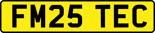 FM25TEC