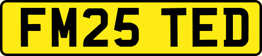 FM25TED