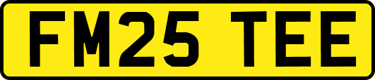 FM25TEE