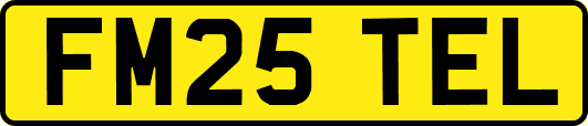 FM25TEL