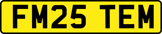 FM25TEM