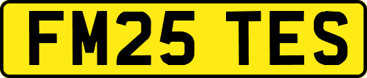 FM25TES