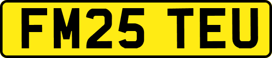 FM25TEU