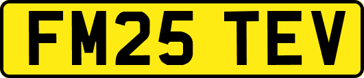 FM25TEV