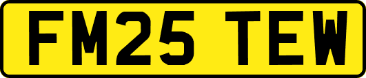 FM25TEW
