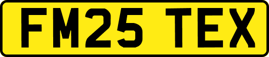 FM25TEX