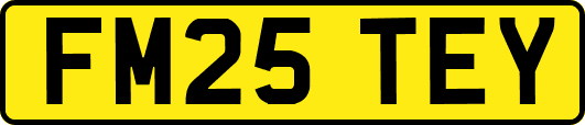 FM25TEY