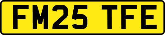 FM25TFE