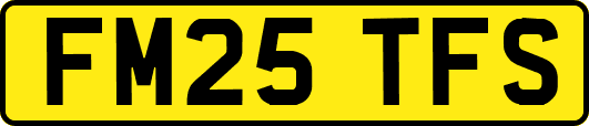 FM25TFS