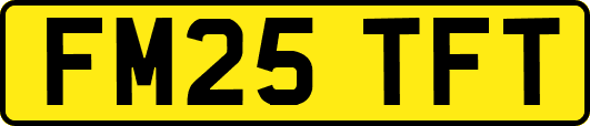 FM25TFT