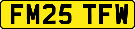 FM25TFW