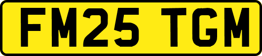 FM25TGM