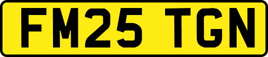 FM25TGN
