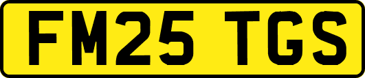 FM25TGS