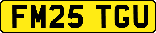 FM25TGU