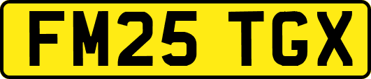 FM25TGX