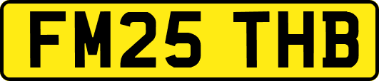 FM25THB