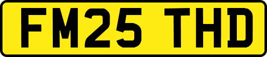 FM25THD