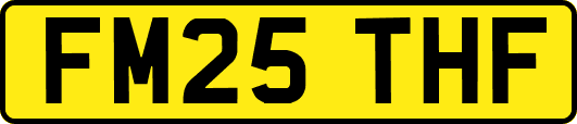 FM25THF
