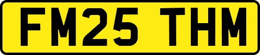 FM25THM