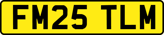 FM25TLM