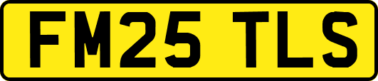 FM25TLS