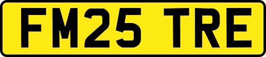 FM25TRE