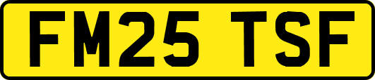 FM25TSF