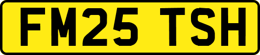 FM25TSH