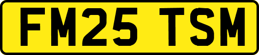 FM25TSM