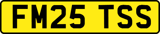 FM25TSS