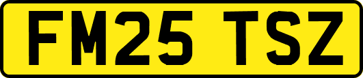 FM25TSZ