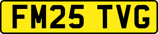 FM25TVG